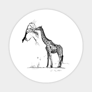 Giraffe Ink Drawing Magnet